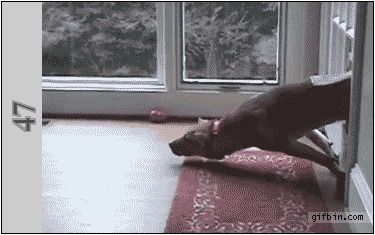 D38f1880bb8d0131a3e71ebef142a943