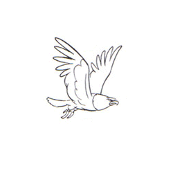 The wolf and the dove pdf download