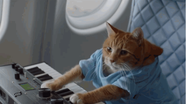cat Cat Typing On Keyboard Gif